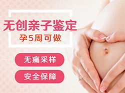 南京怀孕了需要怎么办理血缘检测